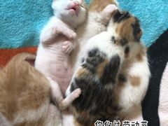 -马王堆海鲜水产市场