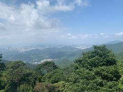 -梧桐山风景名胜区