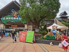 -苏州乐园森林水世界