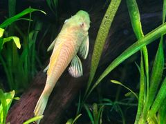 -上海海洋水族馆