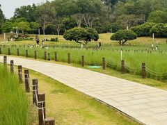 -红花山公园