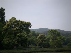 -灵顺寺