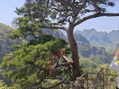 -大连天门山国家森林公园