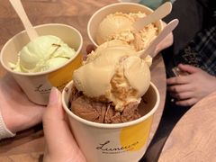 黑巧克力冰淇淋-LUNEURS月乐诗 冰淇淋咖啡(环贸店)