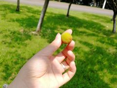 -艾溪湖湿地公园