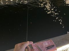 -DGE季风钓虾营地·团建·聚会