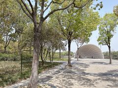 -上海吴淞炮台湾国家湿地公园