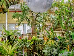 -正佳雨林生态植物园