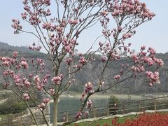 -铜锣山矿山公园