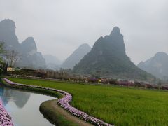 -明仕田园