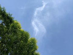 -上海月湖雕塑公园