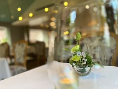 -蝶舍·MAISON PAPILLON