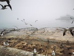-星海广场