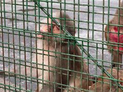 -南京金牛湖风景区