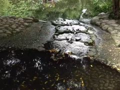 -成都市活水公园
