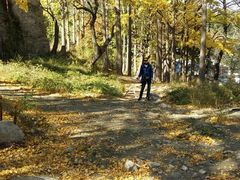 -阳台山自然风景区