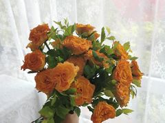 -荷兰布尔玛国际花艺学院