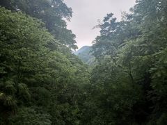 -青城山