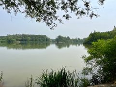 -翠湖国家城市湿地公园