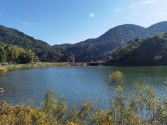 -广州市石门国家森林公园