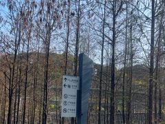 -福道
