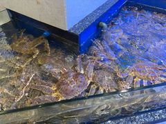 -海景壹号大酒店(滨湖店)