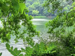 -紫霞湖公园