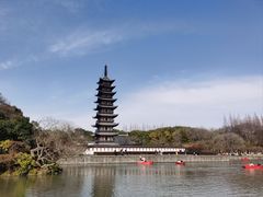 -上海方塔园
