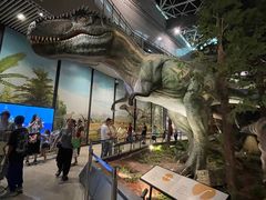 -湖南省地质博物馆