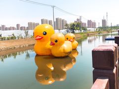 -菊园百果园
