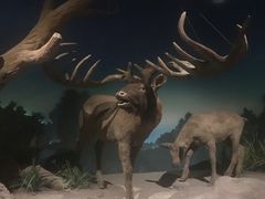 -大庆市博物馆