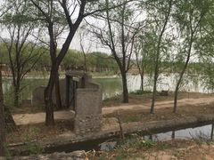 -东方巨龟苑景区