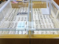 -沪睛眼镜蔡司官方授权店(金桥佳林路店)