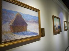-印象莫奈时光映迹艺术展