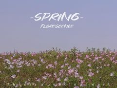 -苏州湾体育公园
