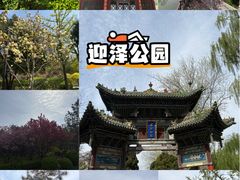 -迎泽公园