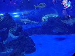 -成都浩海立方海洋公园