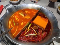 -渝大龙重庆火锅(温泉月亮湾店)