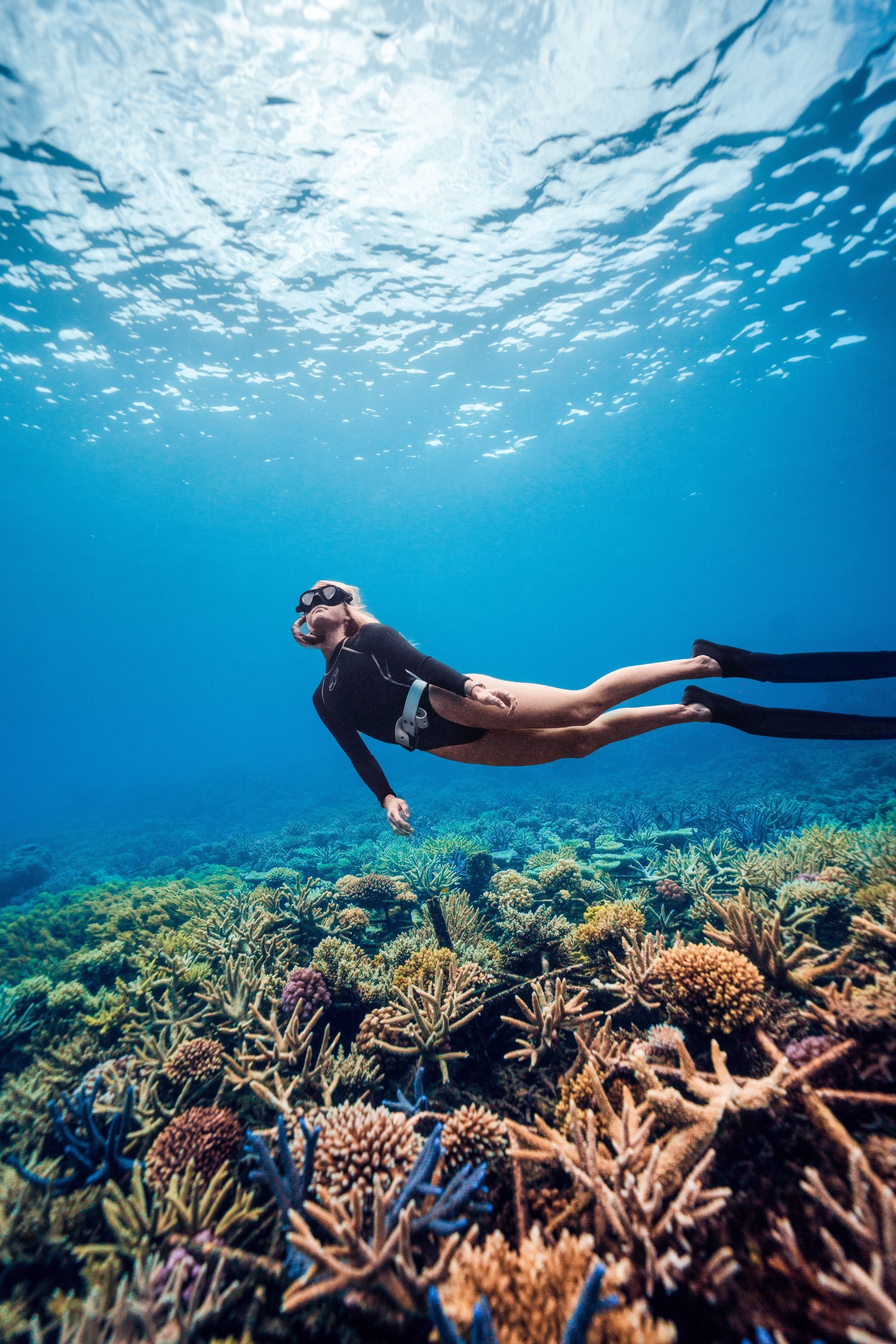 潜入北昆士兰的蓝色梦幻,与海洋共舞!