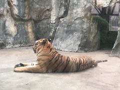 -南昌动物园