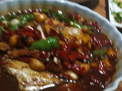 -食欲老院子荆芥疙瘩汤(经五路店)