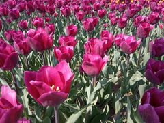 -长春公园(普阳街道)