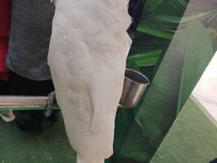 -比尔森韩式烤肉自助(国商店)