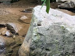 -藏龙百瀑风景区