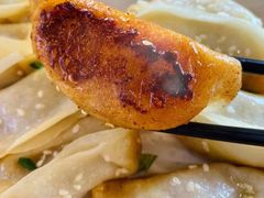 鲜肉锅贴-小姜锅贴(凤凰街店)