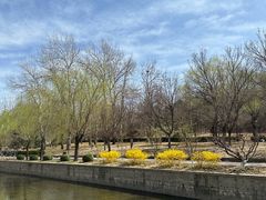 -元大都城垣遗址公园