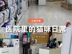 -美联众合动物医院·24h京西诊疗中心