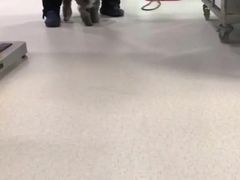 -哆趣宠物医院·眼科·内镜·急重症转诊中心(上海店)