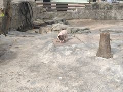-宁波野生动物园