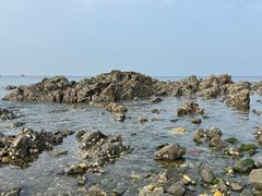 -银沙滩浴场